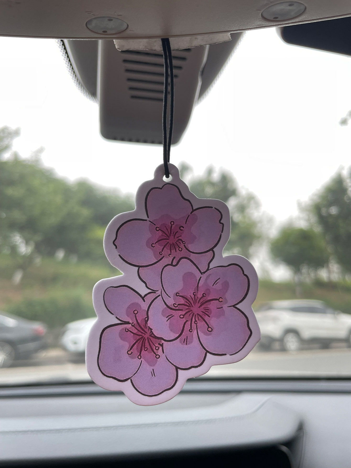 Home Bathroom Freshener - Sakura/Frezya Taze Kokulu Beş Yıldızlı Nötr