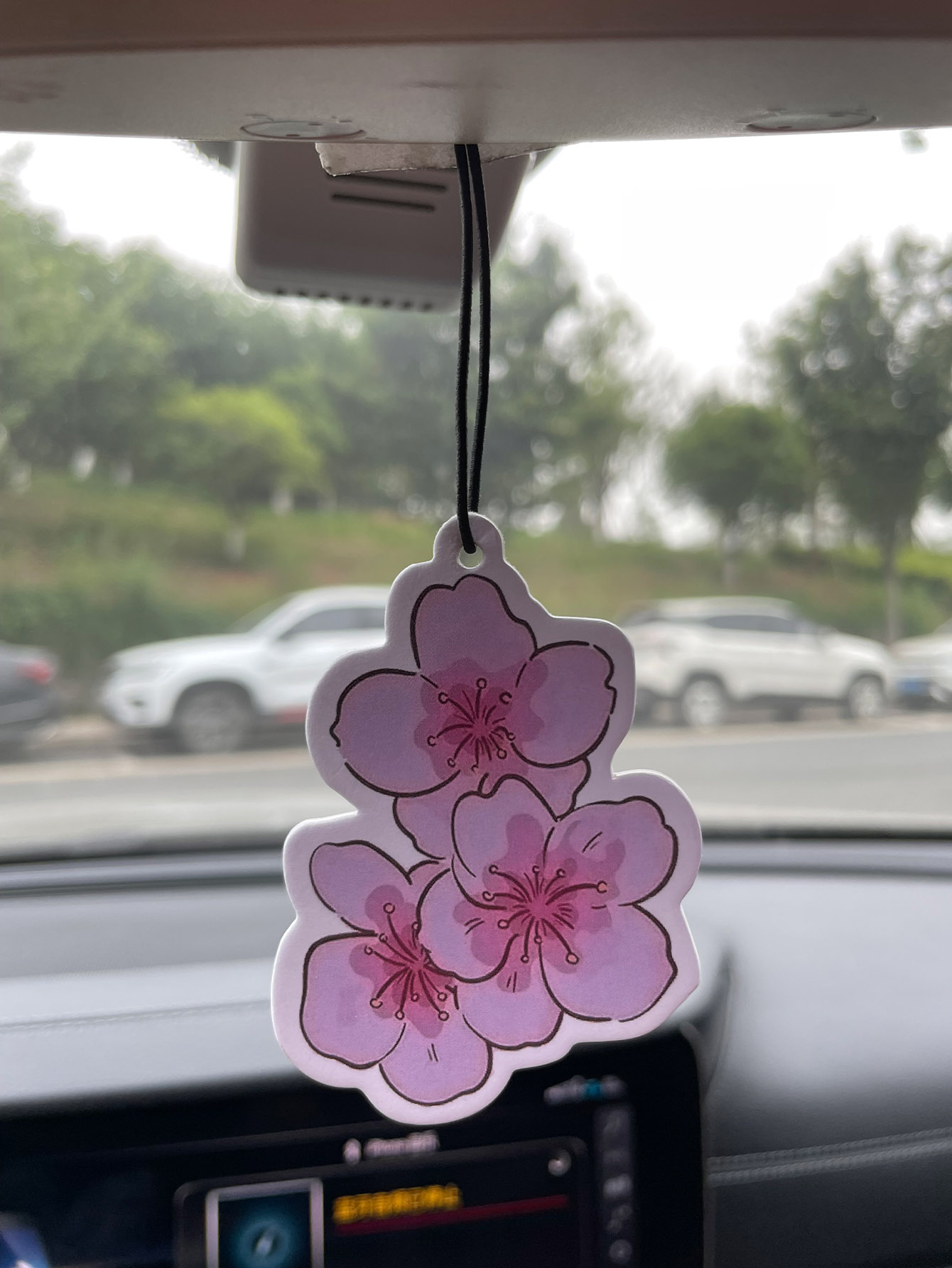 Sakura/Frezya Taze Kokulu Beş  - Home Bathroom Freshener incelemesi ve fiyatı